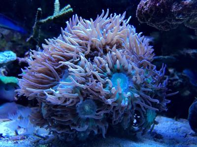 IMG_1186.JPG