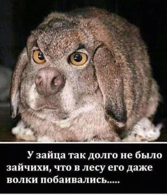 7efffcb6-16a6-4c94-8a18-4c79cc88b616.jpg