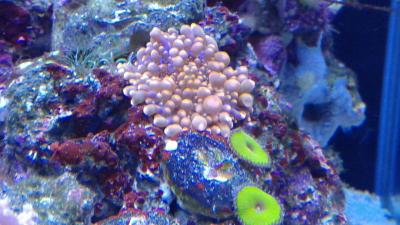 20180924_192443.jpg