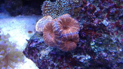 20180924_192404.jpg