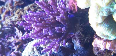 20180812_175710.jpg