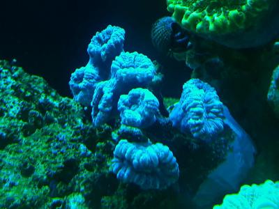 20180901_200244.jpg