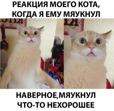 1536901755_10.jpg