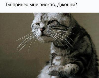 vXuJonV8Tqs.jpg