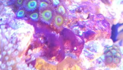 IMG_20180916_074537.jpg