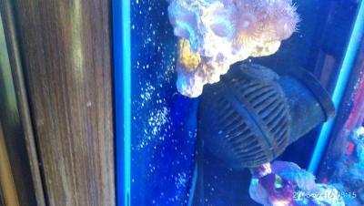 IMG_20180916_081524_BURST1.jpg