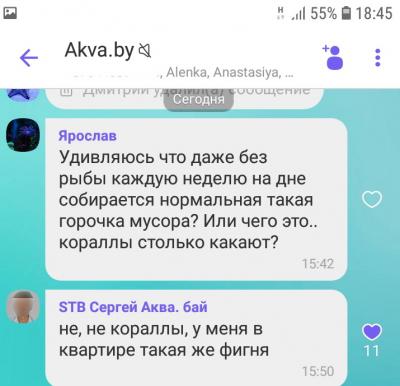 Сегодня.jpg