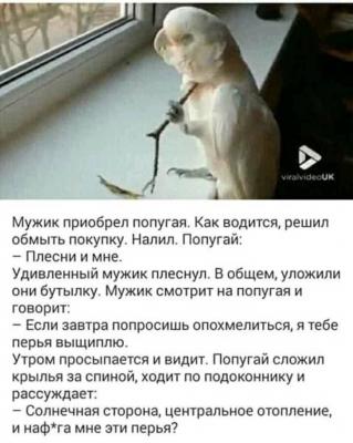 IMG_20190901_210427.jpg