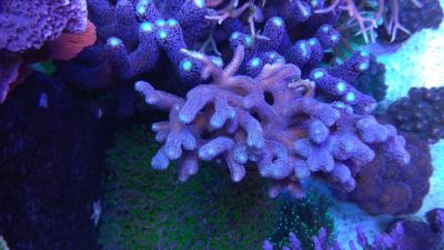 IMG_20200908_171006.jpg