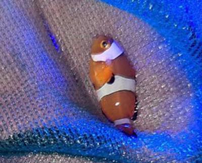 photo_2021-09-08 20.33.36.jpeg