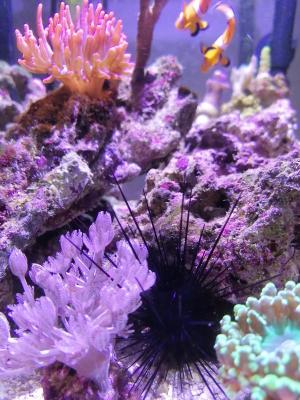 IMG_20210928_103546.jpg