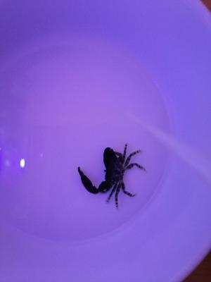 IMG_20210926_211320.jpg