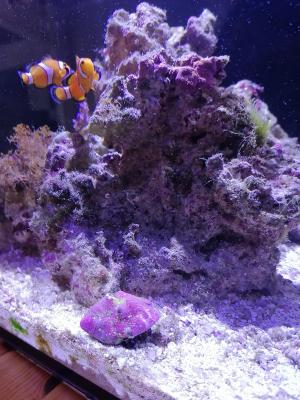IMG_20210910_131218.jpg