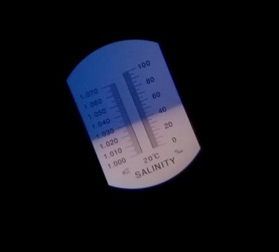 IMG_20210910_104914.jpg