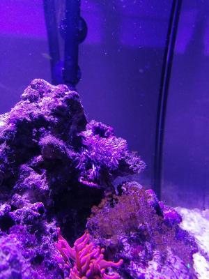 IMG_20210910_182658.jpg