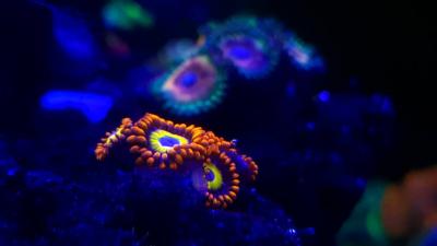 20210913_191605.jpg