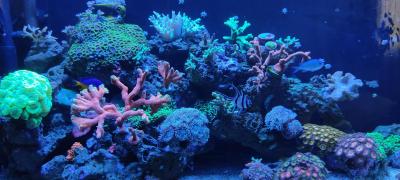 2023-09-03 11-49-59.JPG