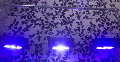 IMG_3107.JPG