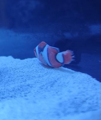 IMG_20230916_113343.jpg