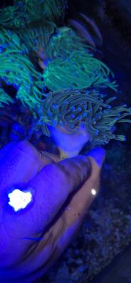 20240928_094245.jpg