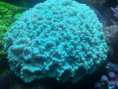 post-14639-0-68007000-1726740911_thumb.j