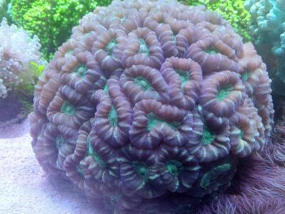 post-14639-0-74720000-1726740947_thumb.j