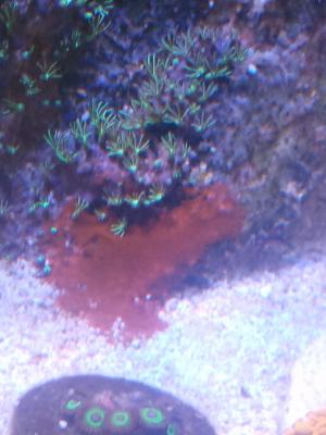 IMG_20240923_151550.jpg