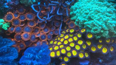 IMG_9177.JPG