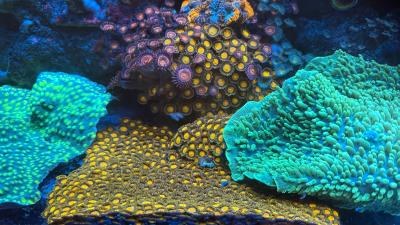 IMG_9178.JPG