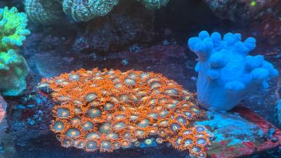 IMG_9175.JPG
