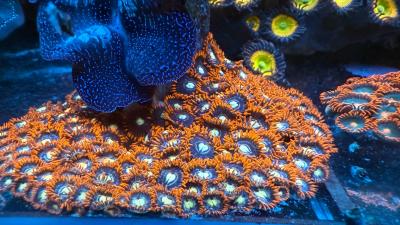 IMG_9176.JPG