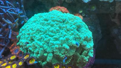 IMG_9186.JPG