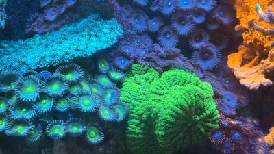 IMG_9183.JPG