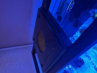 IMG_3010.jpeg