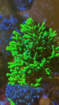 Изображение WhatsApp 2025-09-03 в 12.29.51_11f80fd2.jpg