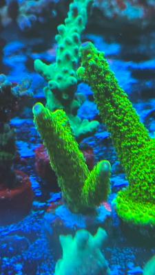 Изображение WhatsApp 2025-09-03 в 12.29.50_d23b47b4.jpg