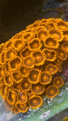 Изображение WhatsApp 2025-09-03 в 12.29.49_6499b2ba.jpg