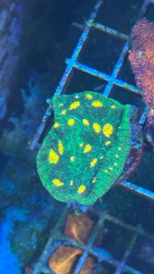 Изображение WhatsApp 2025-09-03 в 12.29.52_e4153638.jpg