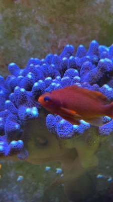 Изображение WhatsApp 2025-09-03 в 12.29.52_73aea27a.jpg