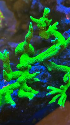 Изображение WhatsApp 2025-09-03 в 12.29.51_20efe991.jpg