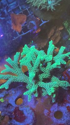 Изображение WhatsApp 2025-09-03 в 12.29.48_4de992a6.jpg