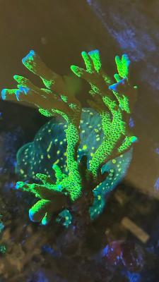 Изображение WhatsApp 2025-09-03 в 12.29.52_2472618e.jpg