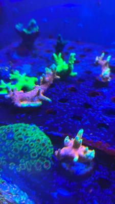 Изображение WhatsApp 2025-09-03 в 12.29.53_5a0dbce0.jpg