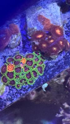 Изображение WhatsApp 2025-09-03 в 12.29.49_c2d08681.jpg