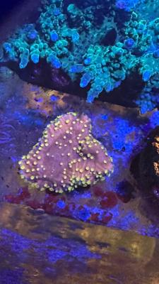 Изображение WhatsApp 2025-09-03 в 12.29.51_f6963055.jpg