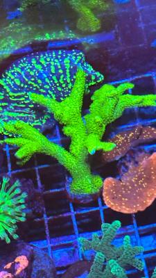 Изображение WhatsApp 2025-09-03 в 12.29.51_431729e1.jpg