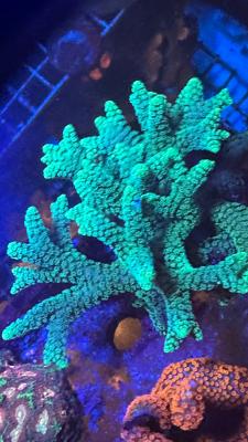 Изображение WhatsApp 2025-09-03 в 12.29.51_f08550cb.jpg