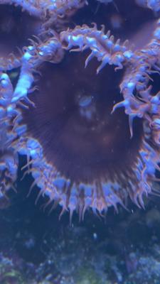 Изображение WhatsApp 2025-09-03 в 12.29.49_889412b9.jpg