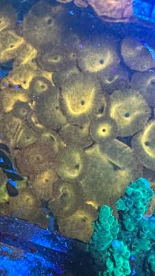 Изображение WhatsApp 2025-09-03 в 12.29.49_10544b20.jpg