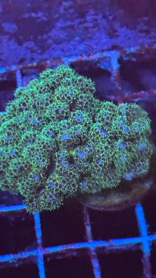 Изображение WhatsApp 2025-09-03 в 12.29.50_aaedd76b.jpg